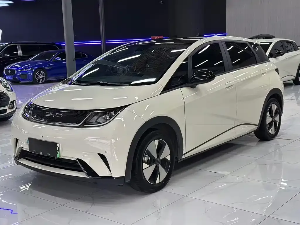 2023 BYD Dolphin 420km Fashion