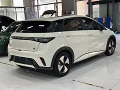 2023 BYD Dolphin 420km Fashion, белый — фото 3