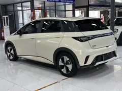 2023 BYD Dolphin 420km Fashion, белый — фото 4