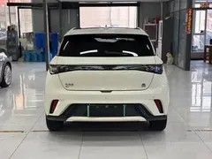 2023 BYD Dolphin 420km Fashion, белый — фото 5