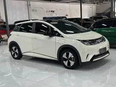2023 BYD Dolphin 420km Fashion, белый — фото 6