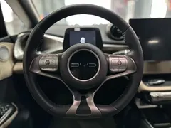 2023 BYD Dolphin 420km Fashion, белый — фото 11
