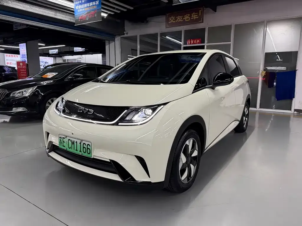 2025 BYD Dolphin 420km Freedom
