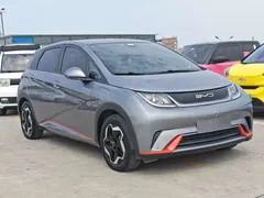 2021 BYD Dolphin 405km Fashion — фото 3
