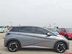 2021 BYD Dolphin 405km Fashion — фото 4