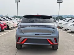 2021 BYD Dolphin 405km Fashion — фото 6