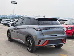 2021 BYD Dolphin 405km Fashion — фото 7