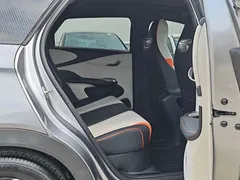 2021 BYD Dolphin 405km Fashion — фото 11