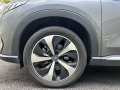 2021 BYD Song PLUS EV Premium — фото 8