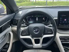 2021 BYD Song PLUS EV Premium — фото 14