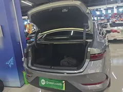 2025 BYD Qin PLUS DM-i PHEV 120KM — фото 15