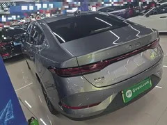 2025 BYD Qin PLUS DM-i PHEV 120KM — фото 23