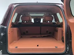 2022 Tank 500 3.0T High-end Custom 5-seat — фото 16