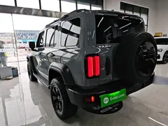 2021 Tank 300 Off-road 2.0T Conqueror — фото 5