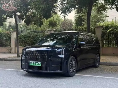 2022 Zeekr 009 WE
