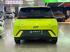 2023 BYD Seagull Flying, зелёный — фото 9