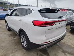 2021 Haval H6 1.5GDIT AT Guochao Champion, белый — фото 5