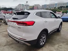 2021 Haval H6 1.5GDIT AT Guochao Champion, белый — фото 7