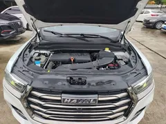 2021 Haval H6 1.5GDIT AT Guochao Champion, белый — фото 20