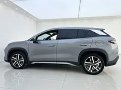 2024 BYD Song L PHEV 112km — фото 29