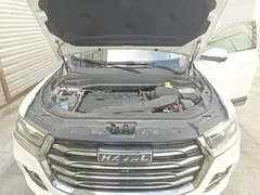 2021 Haval H6 1.5T AT Champion, белый — фото 20