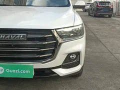 2021 Haval H6 1.5T AT Champion, белый — фото 24