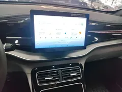 2024 BYD Qin PLUS EV 420km Leading — фото 13