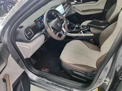 2024 BYD Qin PLUS EV 420km Leading — фото 15