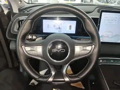 2025 BYD Sea Lion 05 EV 520KM Flagship — фото 11