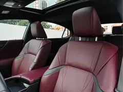 2022 Lexus ES 300h Silver Limited Edition — фото 25