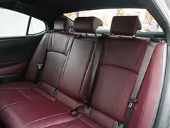 2022 Lexus ES 300h Silver Limited Edition — фото 26