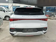 2023 BYD Yuan PLUS Champion 510km Leading — фото 6