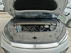 2023 BYD Yuan PLUS Champion 510km Leading — фото 20