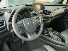 2022 Lexus UX 260h Hybrid — фото 9