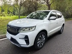 2021 Geely Vision X6 PRO 1.4T MT Luxury, белый — фото 1