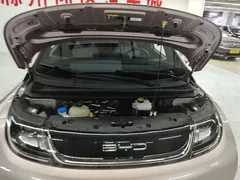 2023 BYD Dolphin 420km Freedom, чёрный — фото 20