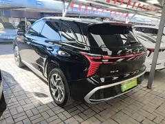 2024 Hongqi HS3 PHEV 115km Jinwei, чёрный — фото 5