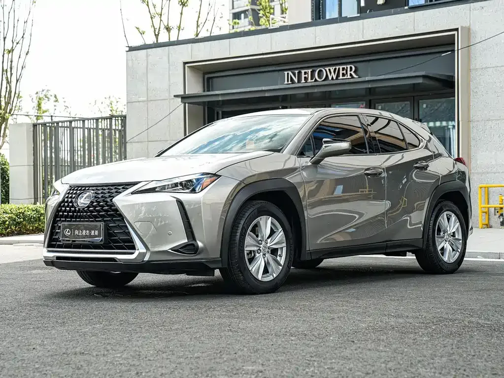2020 Lexus UX 200 Special Edition
