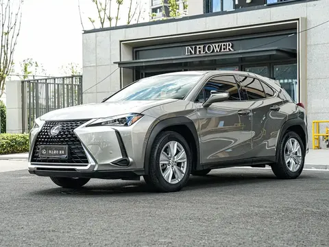 2020 Lexus UX 200 Special Edition