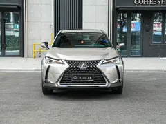 2020 Lexus UX 200 Special Edition — фото 2