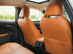 2020 Lexus UX 200 Special Edition — фото 13