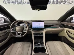 2025 BYD Song PLUS DM-i 112KM PHEV Premium — фото 20