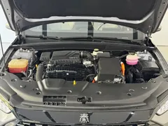 2024 BYD Qin PLUS Honor DM-i PHEV 55km Leading — фото 4
