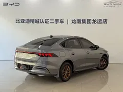2024 BYD Qin PLUS Honor DM-i PHEV 55km Leading — фото 12