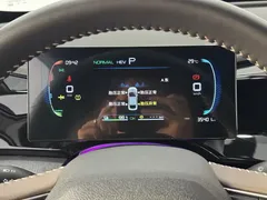 2024 BYD Qin PLUS Honor DM-i PHEV 55km Leading — фото 15