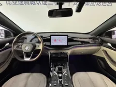 2024 BYD Qin PLUS Honor DM-i PHEV 55km Leading — фото 19