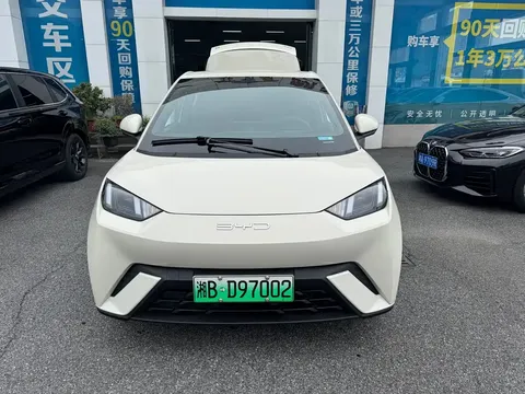 2023 BYD Seagull Flying