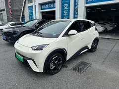 2023 BYD Seagull Flying — фото 2