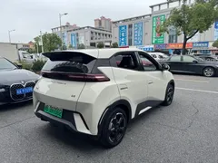 2023 BYD Seagull Flying — фото 8
