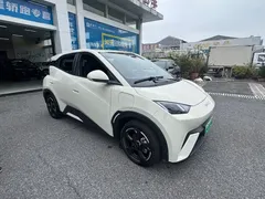 2023 BYD Seagull Flying — фото 10